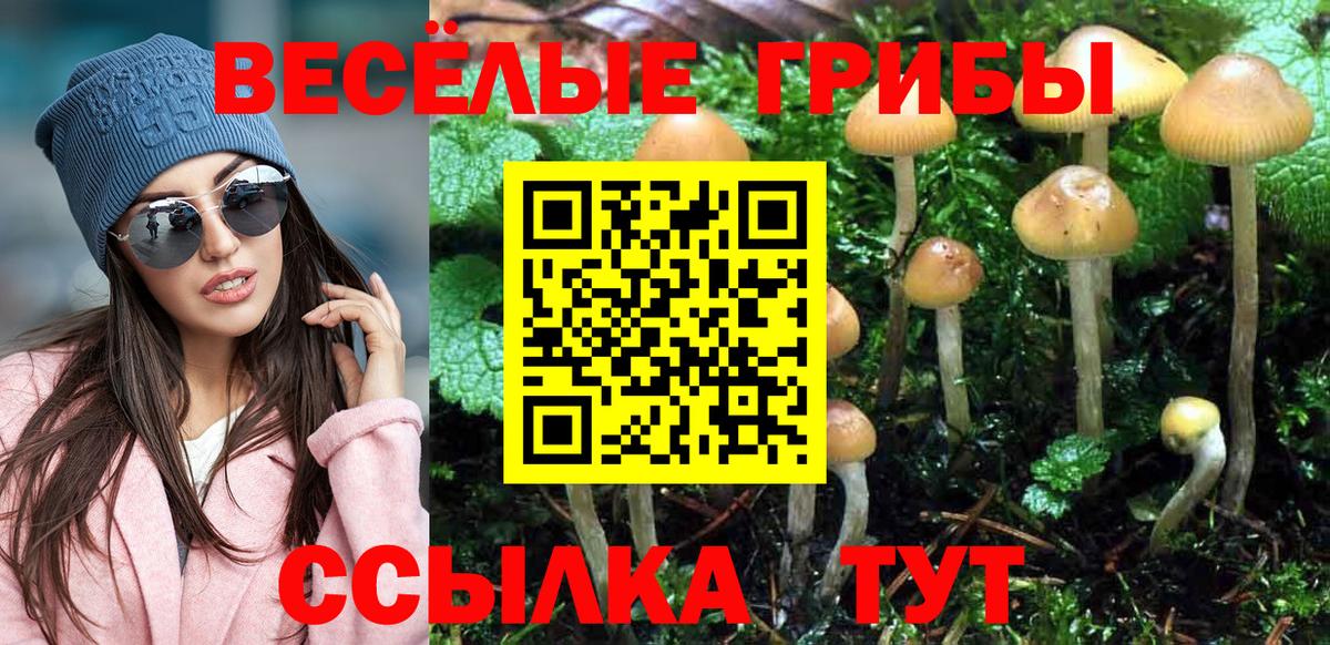 Псилоцибиновые грибы MAGIC MUSHROOMS Муравленко